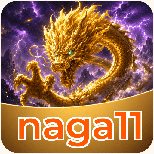 naga11 Support
